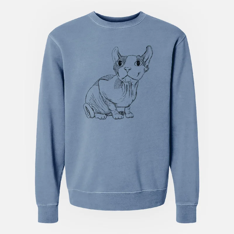 streetwear gym sweatshirtDoodled Bug the Sphynx - Unisex Pigment Dyed Crew Sweatshirt