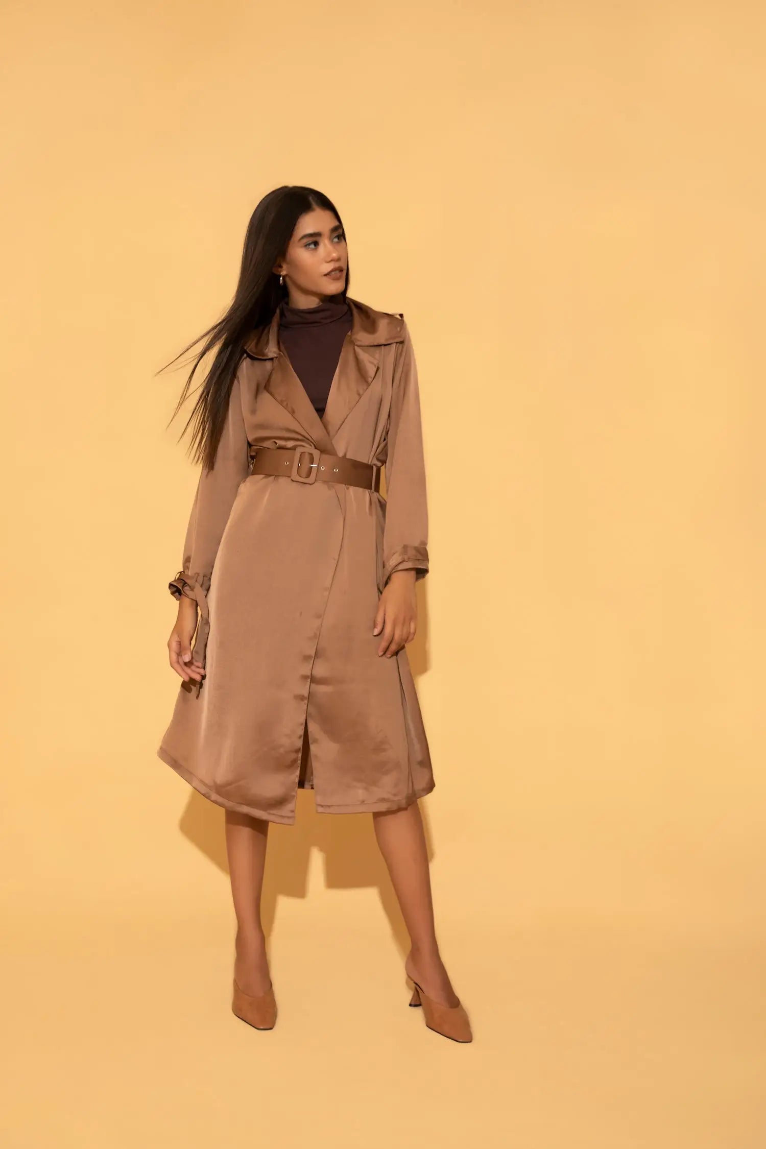 long-sleeve winter jacketBrown Summer Trench